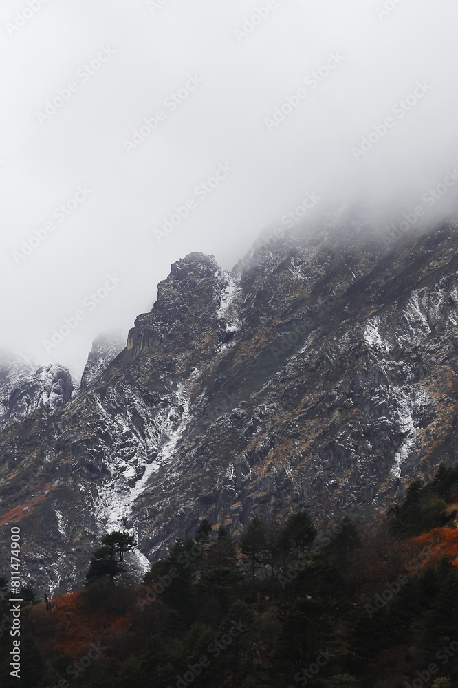 cloudy foggy alpine forest and panorama of snowcapped himalaya mountains range of north sikkim near yumthang valley in india cloudy foggy alpine forest and panorama of snowcapped himalaya mountains range of north sikkim near yumthang valley in india