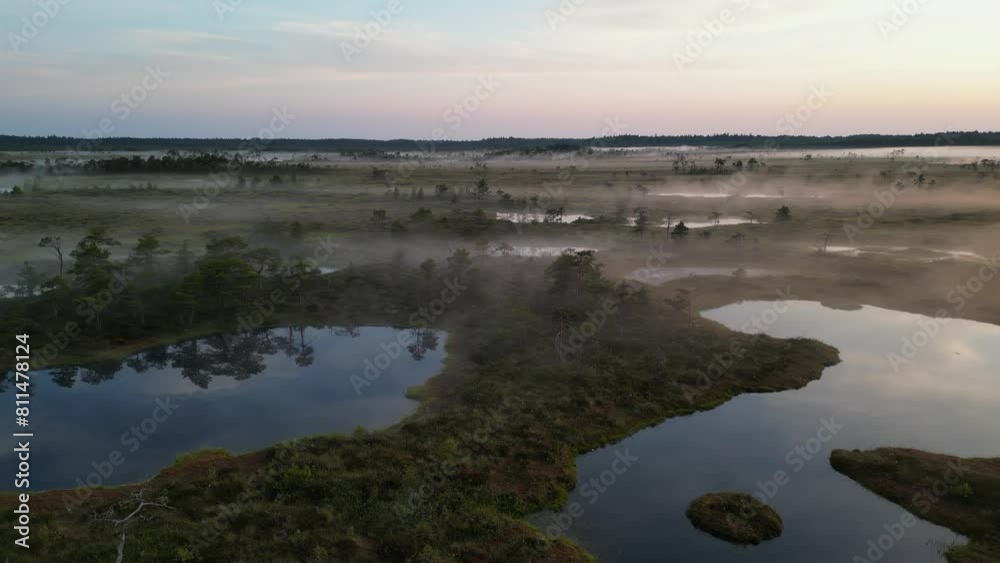 Low flyover of tannin black water foggy bog moor in northern Estonia Low flyover of tannin black water foggy bog moor in northern Estonia