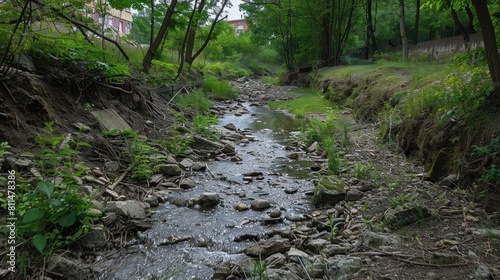 stream in the woods