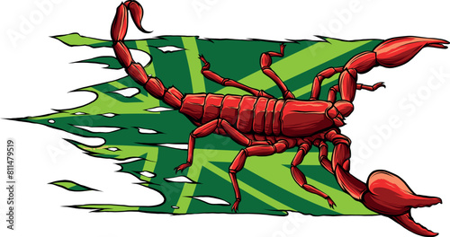 draw colored animal scorpion vector illustration design