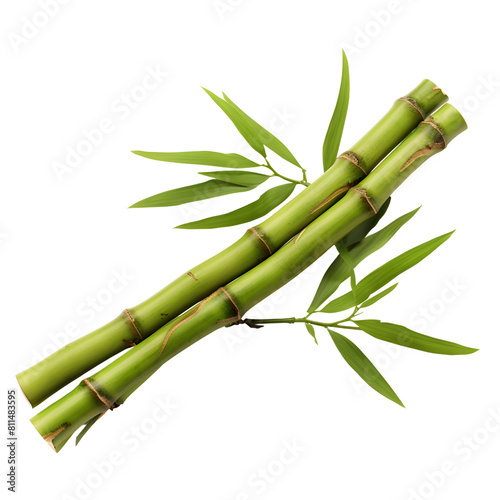 bamboo green sticks with leaves  isolated on transparent background 