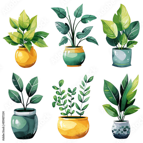 plant, leaf, flower, vector transparent colors, easy tu use, set item, watercolor transparent