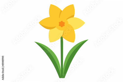 daffodil flower vector illustration © CreativeDesigns