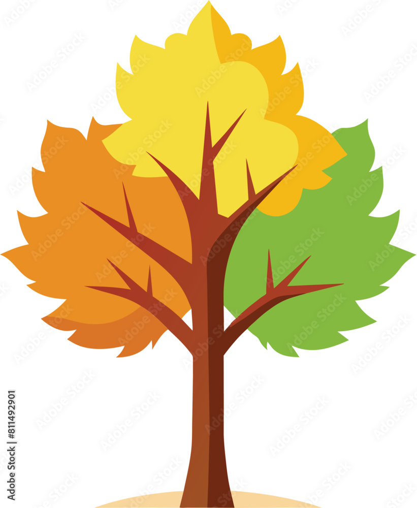 Fototapeta premium Maple tree illustration, tree iconic for canadian
