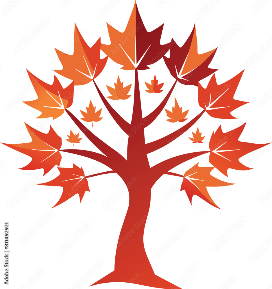 Maple tree illustration, tree iconic for canadian Maple tree illustration, tree iconic for canadian