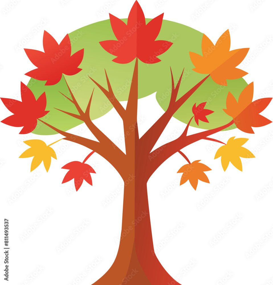 Maple tree illustration, tree iconic for canadian Maple tree illustration, tree iconic for canadian