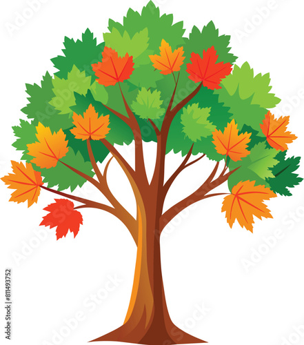 Maple tree illustration  tree iconic for canadian