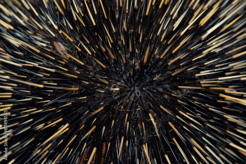 Background Porcupine Quill Closeup On Fur Created Using Artificial Intelligence