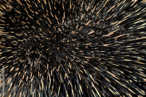 Background Porcupine Quill Closeup On Fur Created Using Artificial Intelligence