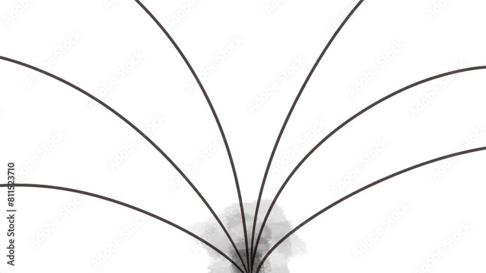 The stripes form a tapering pit-shaped surface. Simulation of a schematic black hole that distorts space-time.