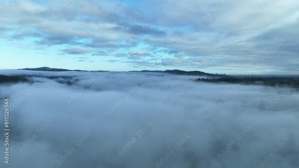 Early morning light illuminates fog drifting through trees in the beautiful Willamette Valley not far south of Portland, Oregon. Early morning light illuminates fog drifting through trees in the beautiful Willamette Valley not far south of Portland, Oregon.