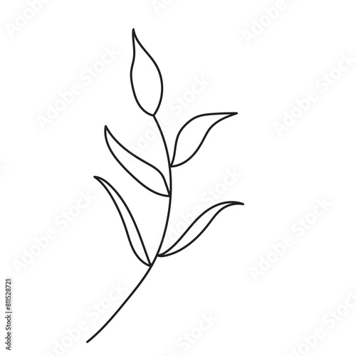 plant  vector  outline  flower  floral  sketch  botanical  illustration  line  herb  leaf  set  design  summer  nature  isolated  blossom  doodle  art  graphic  collection  garden  drawing  spring