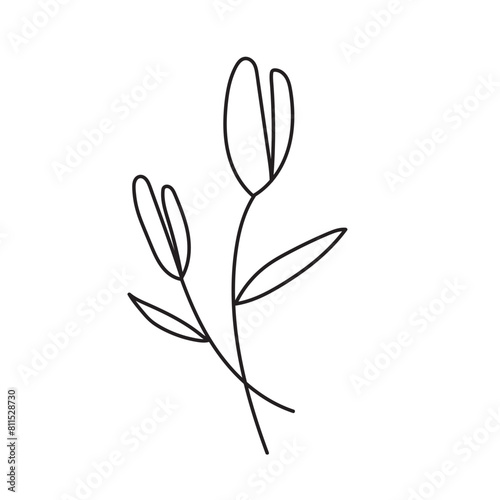 plant, vector, outline, flower, floral, sketch, botanical, illustration, line, herb, leaf, set, design, summer, nature, isolated, blossom, doodle, art, graphic, collection, garden, drawing, spring © skyhighup