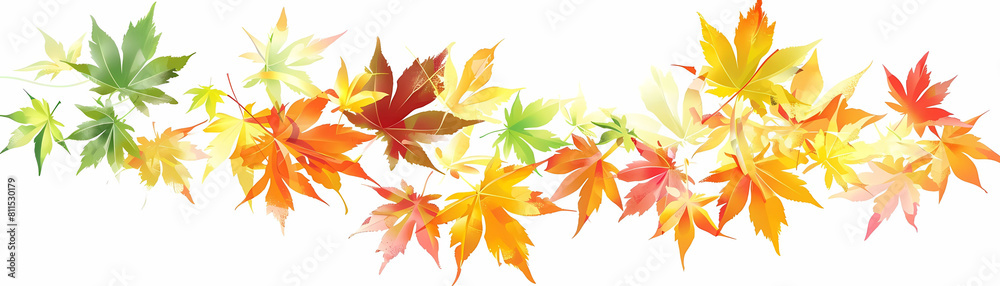 illustration of maple leaves on a isolated background illustration of maple leaves on a isolated background