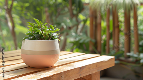 A ceramic pot sits on a wooden bench with a plant growing inside. Ai generated Images