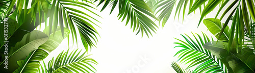tropical palm leaf vector background with a white sky