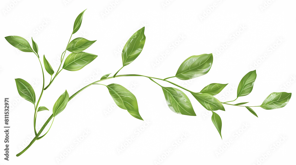 vector  plant stem with green leaves on isolated background