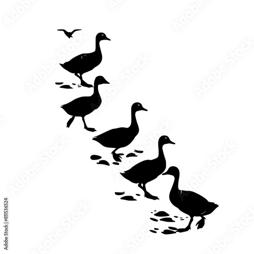 flying, bird, sky, birds, fly, silhouette, flock, flight, nature, blue, group, animal, vector, black, white, illustration, wing, formation, wildlife, pigeon, migration, geese, wings, freedom, wild, ic