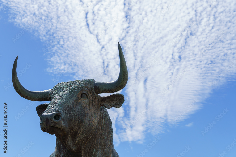 Naklejka premium close-up of the head of a fighting bull with a blue sky and clouds in the background
