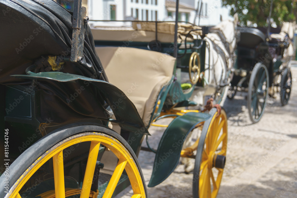 rear view of a tourist horse-drawn carriage in a city square rear view of a tourist horse-drawn carriage in a city square