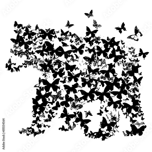 Bear with butterflies