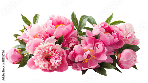 Fototapeta Naklejka Na Ścianę i Meble -  bouquet of pink peonies flowers isolated on transparent background 
