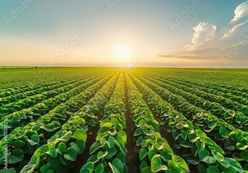 Plantation field with vegetables  scenic landscape agriculture  farmland  created with AI