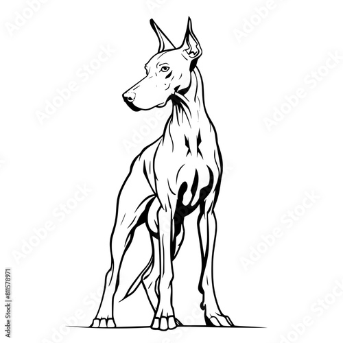 Dog vector  line art Dog  Dog outline  Dog svg  Dog png  Dog illustration  Labrador Retriever Dog  German Shepherd Dog  Golden Retriever Dog  Bulldog Dog  Beagle Dog  Poodle Dog  Boxer Dog  Dachshund 