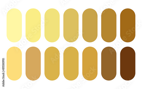 abstract gulden color palette banner in set for trendy design