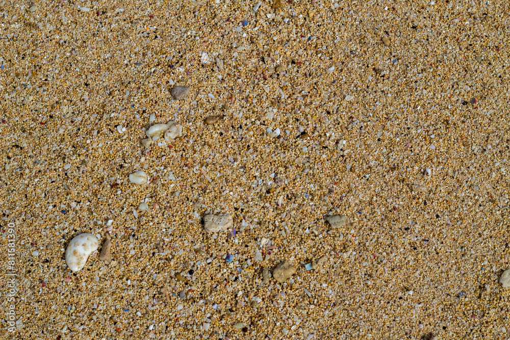 small rock on clean sand of beach. Close up, beach sand texture. Beach sand texture in summer sun