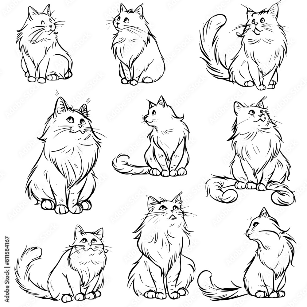cat vector, line art cat, cat outline, cat svg, cat png, cat illustration, Persian cat, Siamese, Maine Coon, Persian, Ragdoll, Bengal, Scottish Fold, Sphynx, Abyssinian, Russian Blue, Norwegian Forest