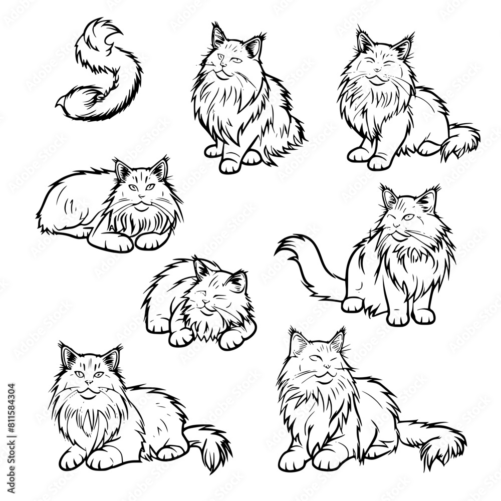 cat vector, line art cat, cat outline, cat svg, cat png, cat illustration, Persian cat, Siamese, Maine Coon, Persian, Ragdoll, Bengal, Scottish Fold, Sphynx, Abyssinian, Russian Blue, Norwegian Forest cat vector, line art cat, cat outline, cat svg, cat png, cat illustration, Persian cat, Siamese, Maine Coon, Persian, Ragdoll, Bengal, Scottish Fold, Sphynx, Abyssinian, Russian Blue, Norwegian Forest