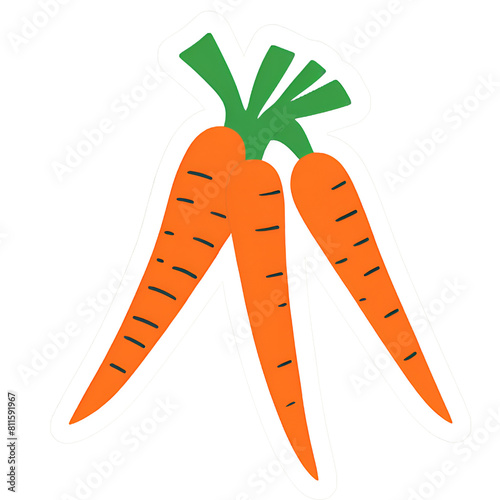 Carrot,Long, slender orange roots with a smooth surface and feathery green tops.