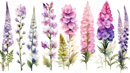 Beautiful Floral Set with Watercolor Hand-Drawn Style on Transparent Background.