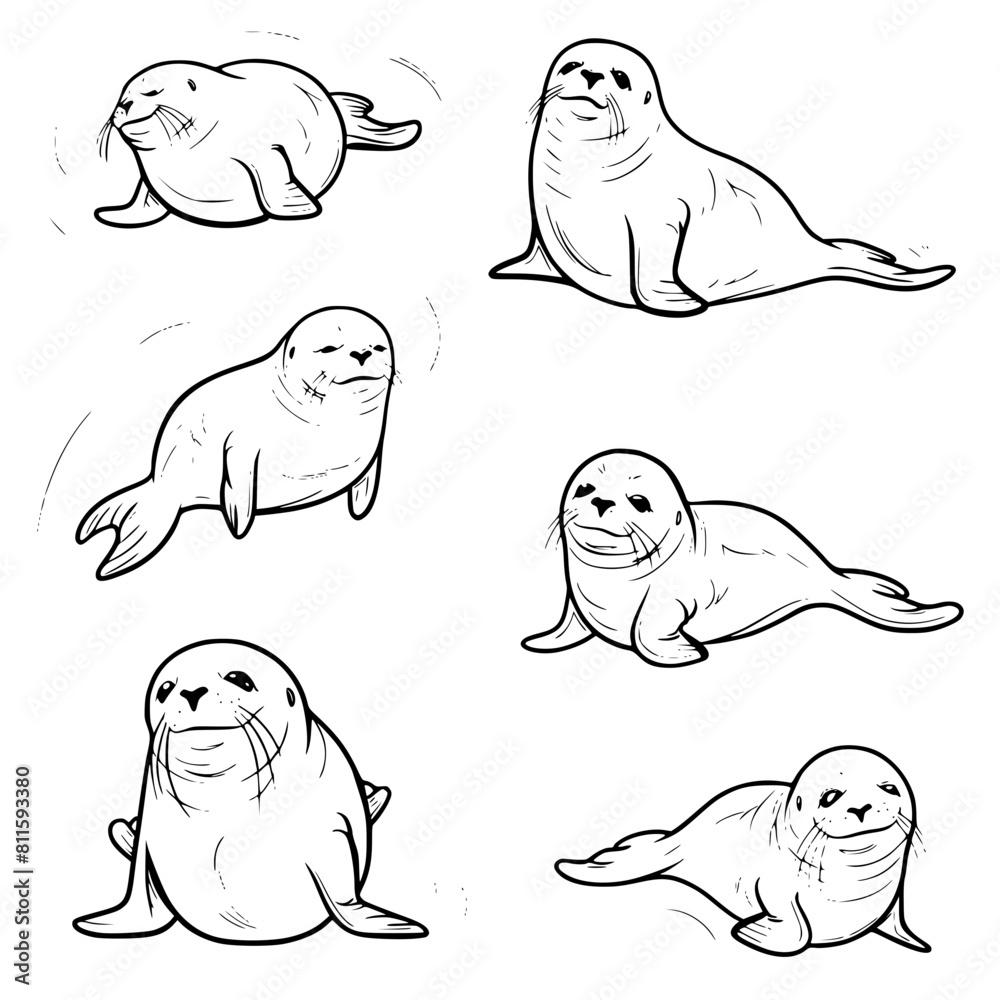 Obraz premium Baby Seal SVG, Seal Svg, Seal Clipart, Doodle Animal Svg, Doodle Seal Svg, Cute Seal Svg, Seal Png, Seal Vector, Jungle Animal Svg, Cute Baby Seal Svg, Seal Outline Svg, Kids Coloring Svg, Nursery Svg