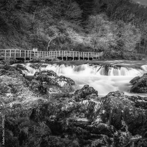 Cenarth waterfalls and river Teifi in Cenarth, Newcastle Emlyn, Wales photo