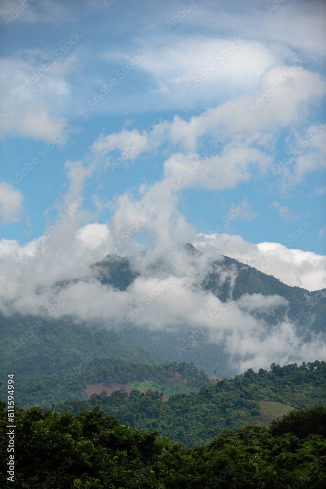 Green mountains and mist after rain. Green mountains and mist after rain.