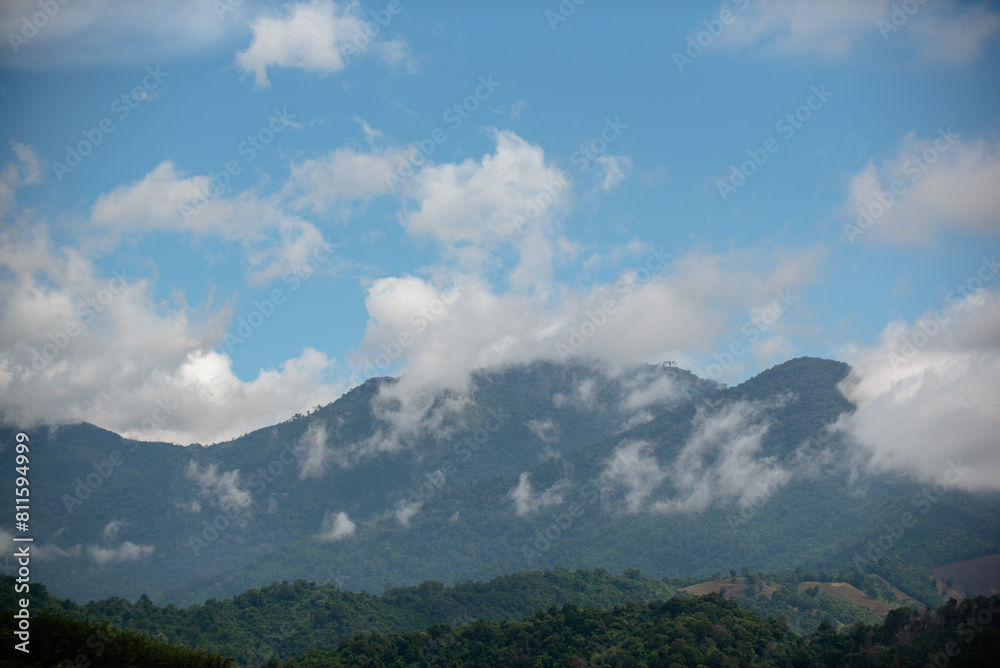 Obraz premium Green mountains and mist after rain.