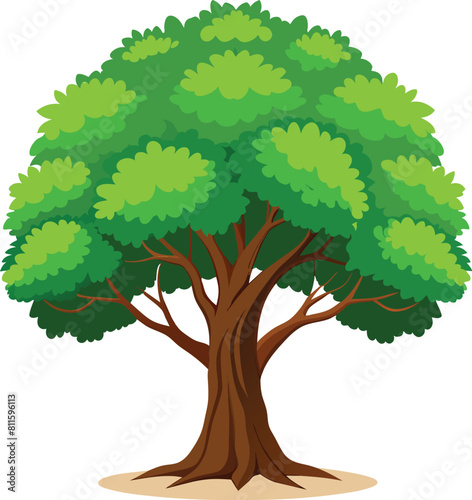Elm Tree Botanical vector art, elm tree illustration