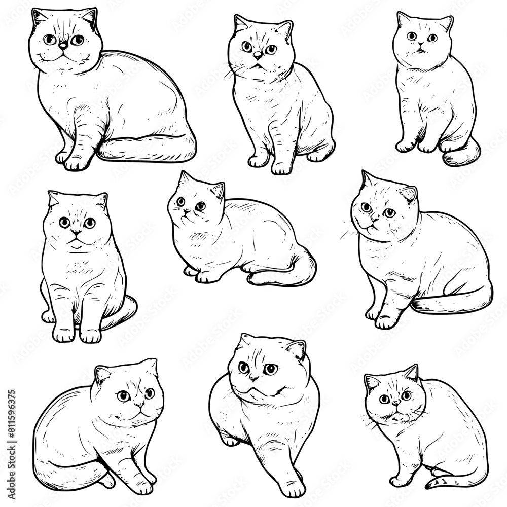 cat vector, line art cat, cat outline, cat svg, cat png, cat ...