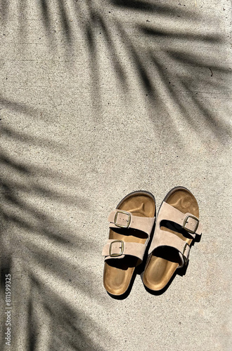 Taupe Buckled Sandals with Palm Tree Shadow Outside © Cavan