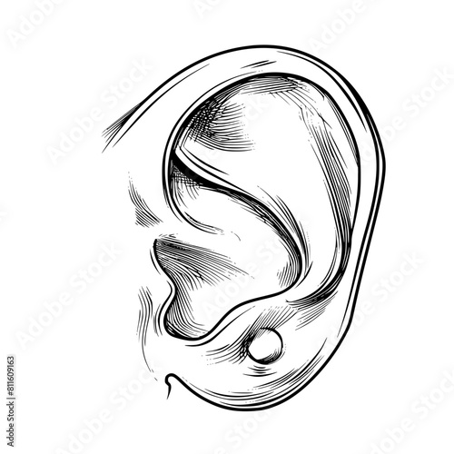 ear silhouette, ear svg, ear png, ear vector, hair, woman, face, illustration, vector, silhouette, beauty, head, tattoo, art, black, fashion, sketch, drawing, symbol, profile, design, style, pattern, 
