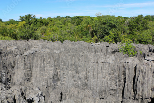 Tsingy De Bemaraha National Park in Madagascar 