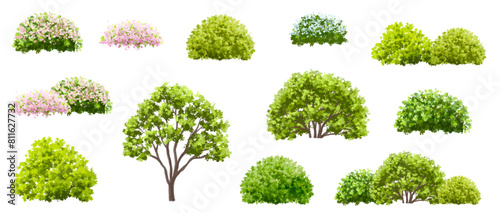 Vector watercolor blooming flower tree or forest side view isolated on white background for landscape and architecture drawing,elements for environment or and garden,shrub for section ,Set of floral