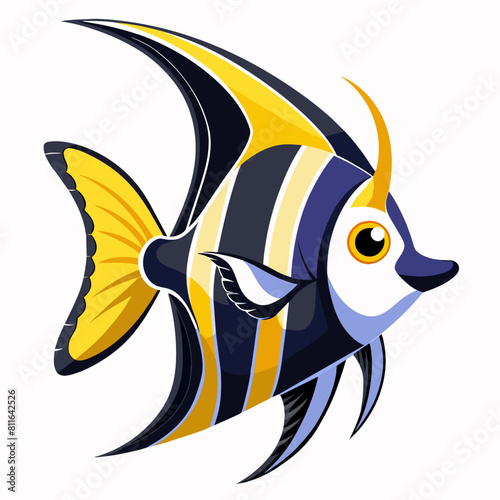 angelfish