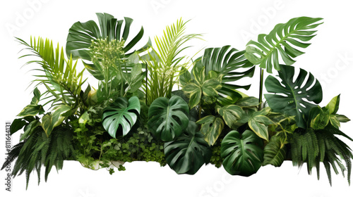 Tropical Floral Arrangement with Plant Bush on Transparent Background. © MatPhoto