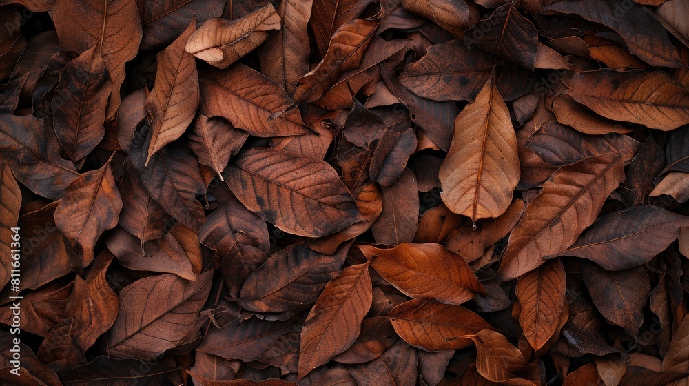 Highly detailed high resolution image of dry leaves as the background Highly detailed high resolution image of dry leaves as the background
