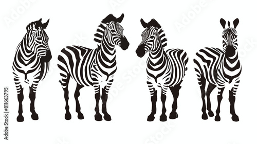 Zebra cartoon black silhouette in white background vector