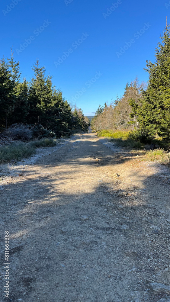 Mountain hiking trail, road in the mountains in spring with remnants of snow. Mountain hiking trail, road in the mountains in spring with remnants of snow.