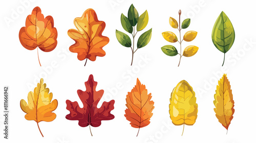 Autumn leaf plant seasonal icon vector illustration